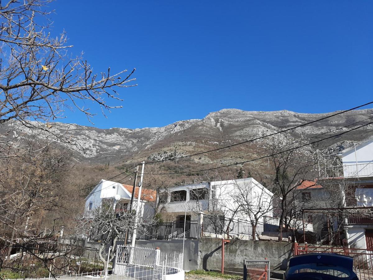 Forest House Sutomore Esterno foto